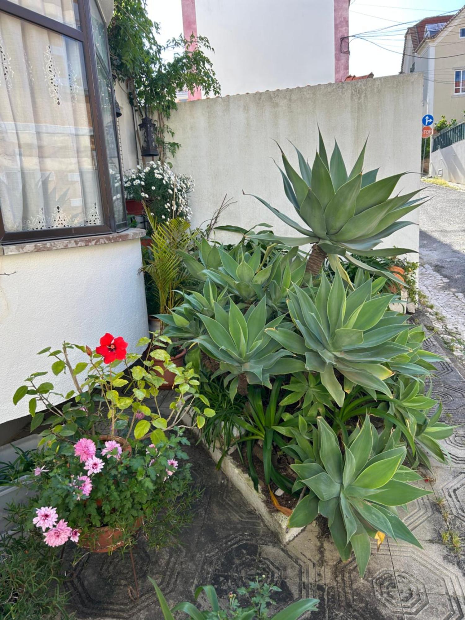 Bela Vista Apartamento Estoril Cascais Экстерьер фото